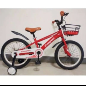 NB EVERGREEN 18 BMX