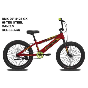 MORISON 20 BMX