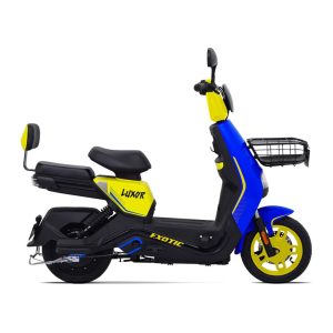 LUXOR - EXOTIC BIKE