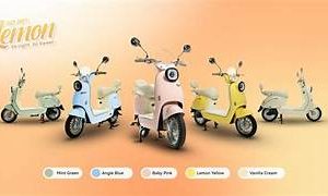 LEMON GD 001 - GODA BIKE