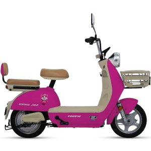 VENTURA R1 - PASIFIC BIKE