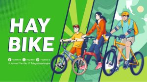 Haybike Sepeda Anak dan Dewasa
